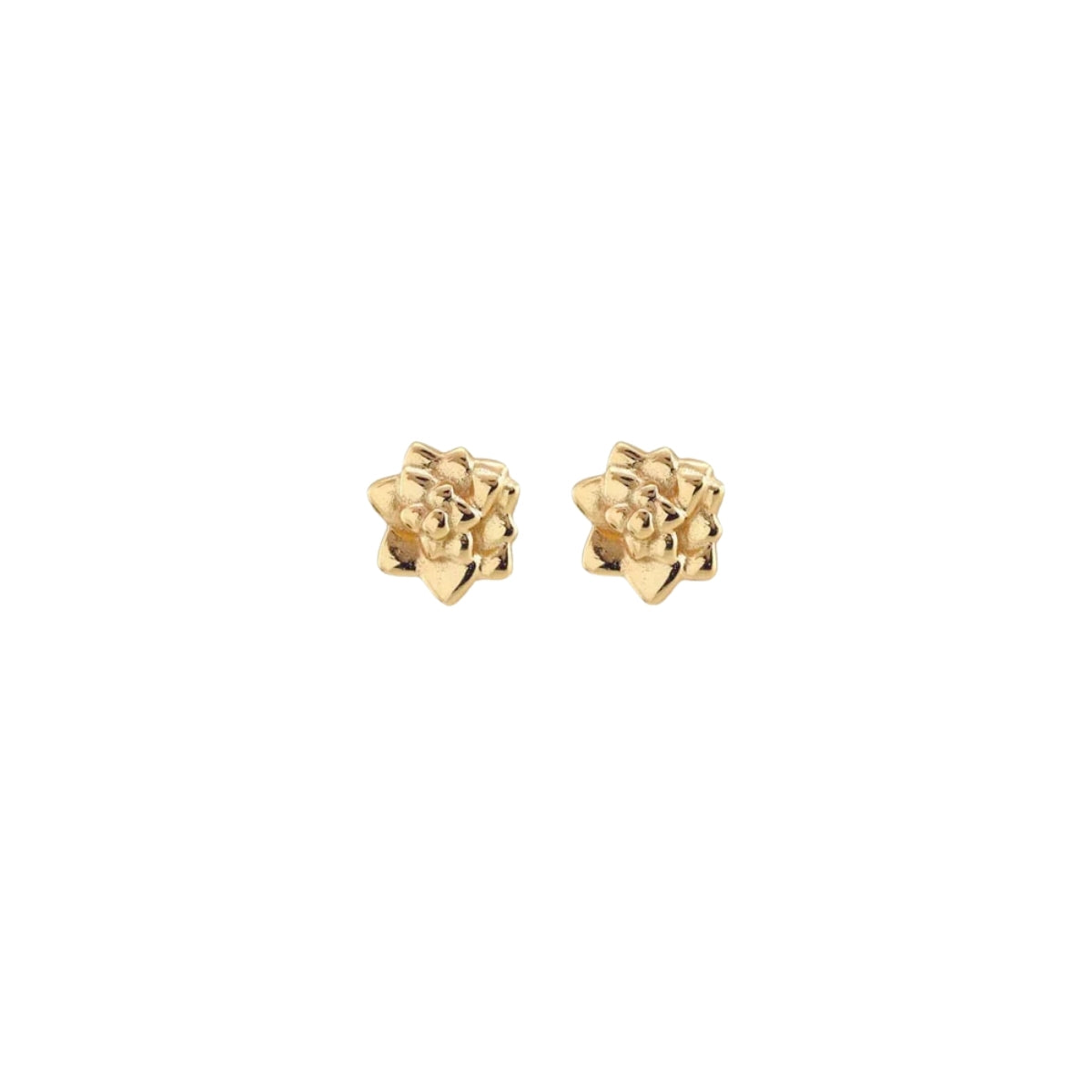 Buy Kris Nations Succulent Stud Earrings Online for Women | Free 3-Hour Delivery in Dubai | Boom & Mellow UAE