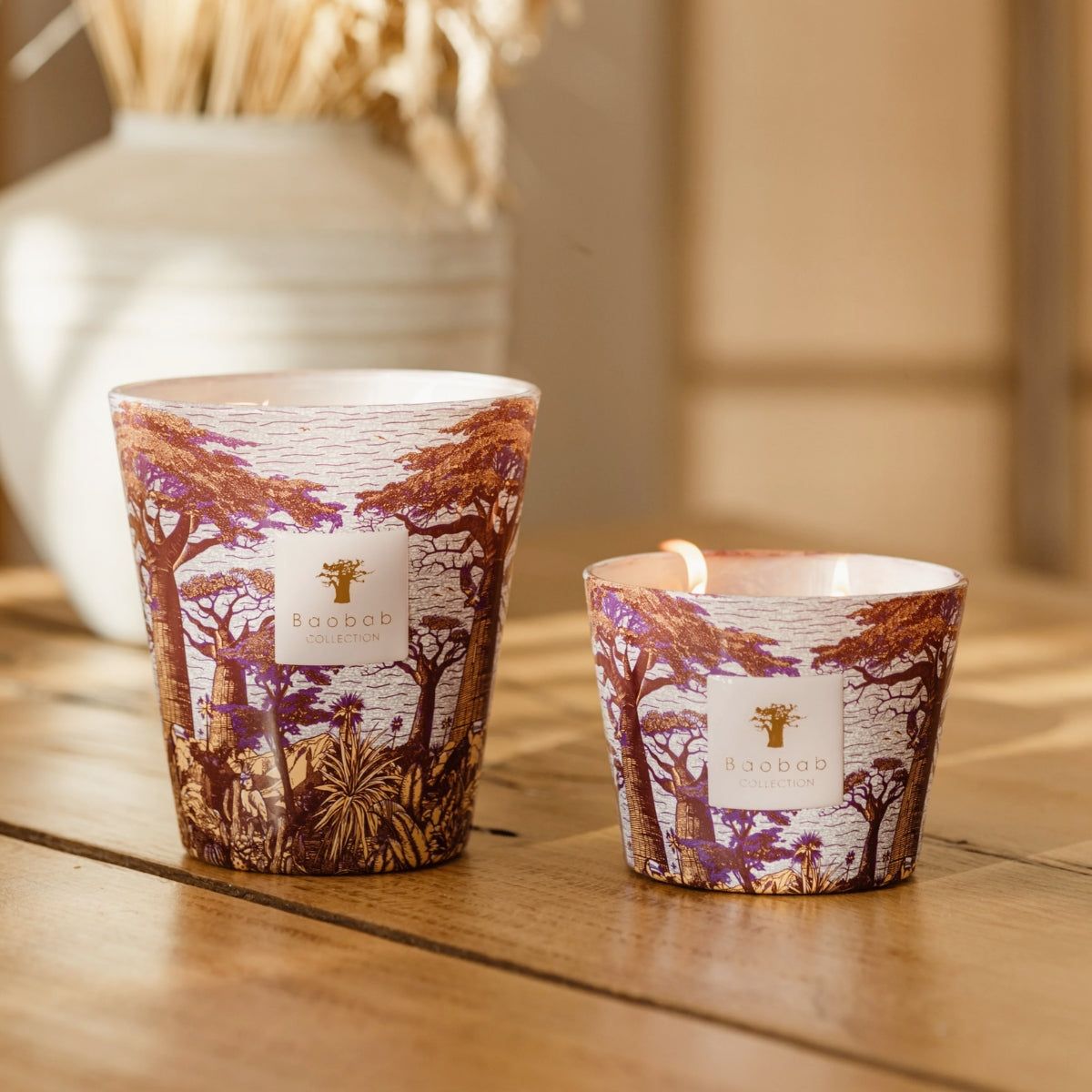 Baobab Collection Max 10 Sacred Tree Massasso Candle