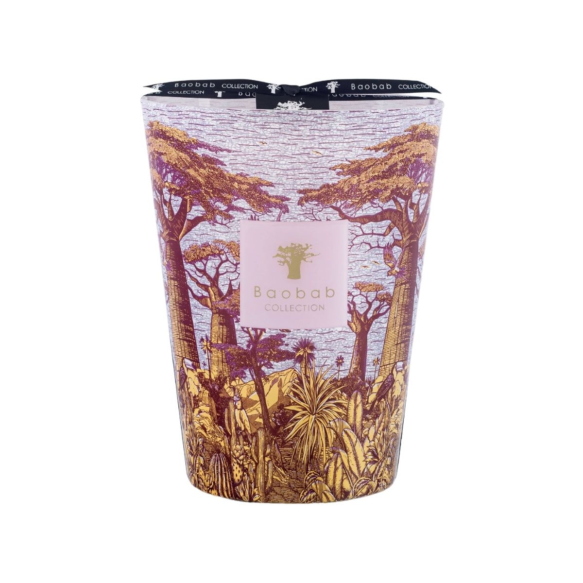Buy Baobab Collection Max 24 Sacred Tree Massasso Candle Online for Women | Free 3-Hour Delivery in Dubai | Boom & Mellow UAE
