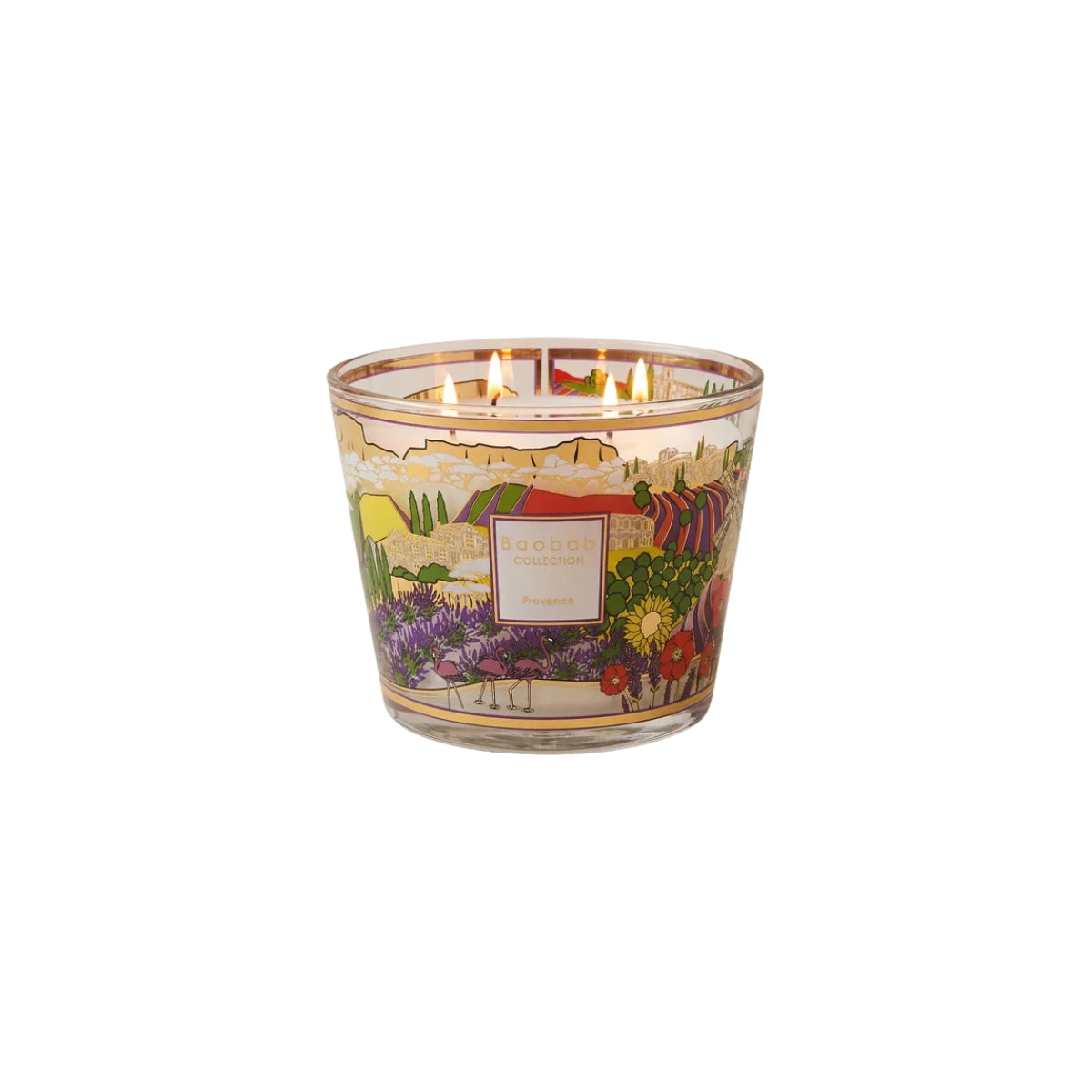 Baobab Collection Max 10 Provence Candle