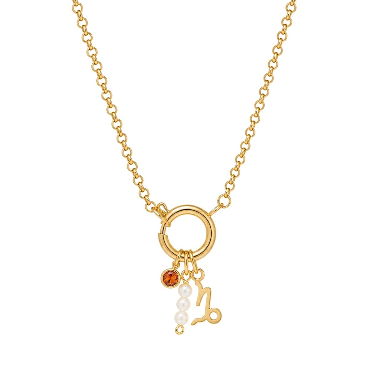 Capricorn Zodiac Garnet Birthstone Charm Necklace