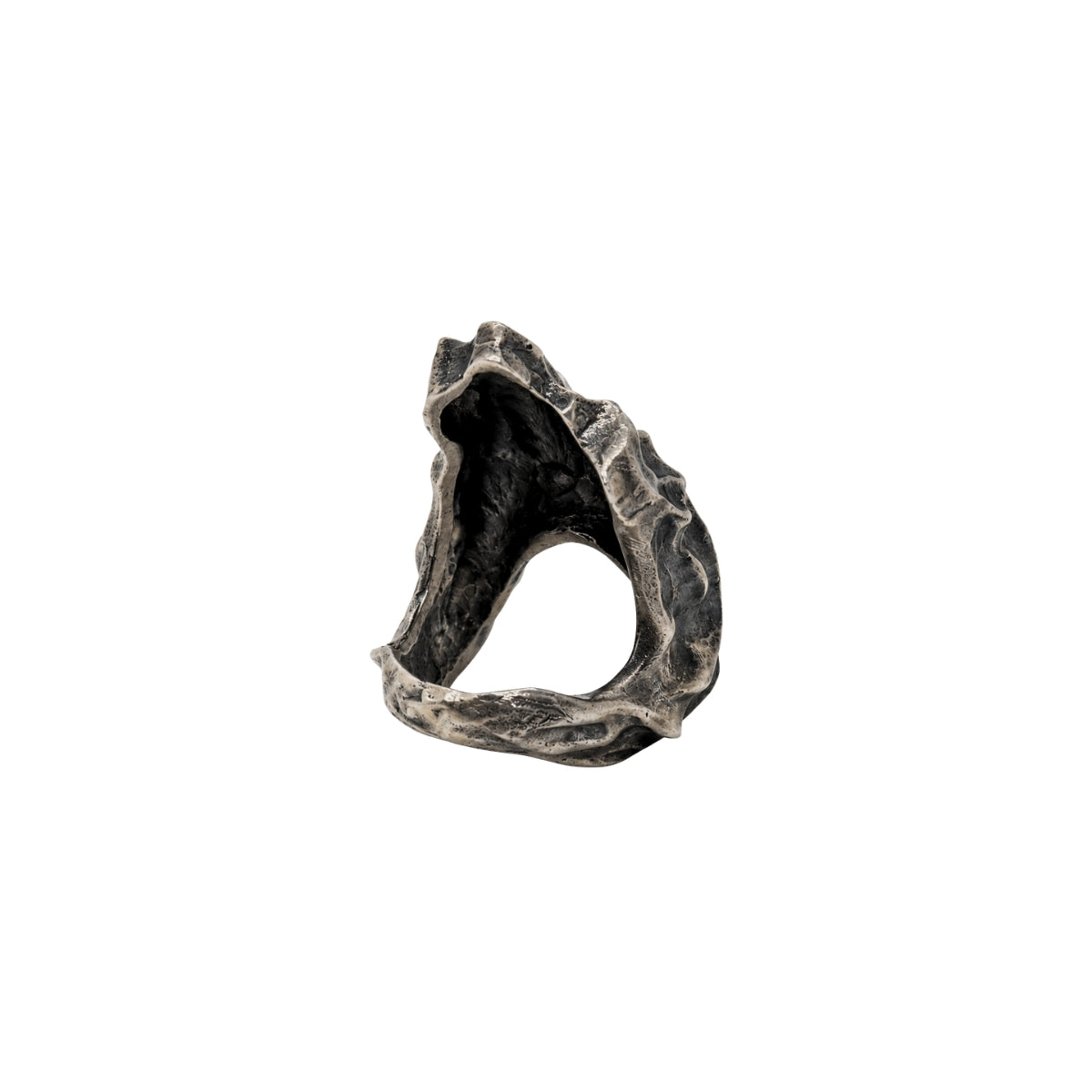 Textura De Arbol Rings