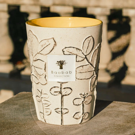 Baobab Collection Max 24 Folia Calanque Candle