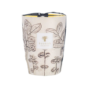 Baobab Collection Max 24 Folia Calanque Candle