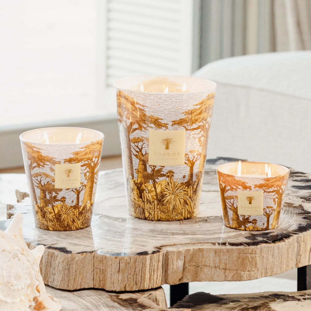 VIP【関税送料無料】希少 Baobab Collection Sacred Max 10 Buy Baobab Collection Max 10 Sacred Tree Cocody Candle