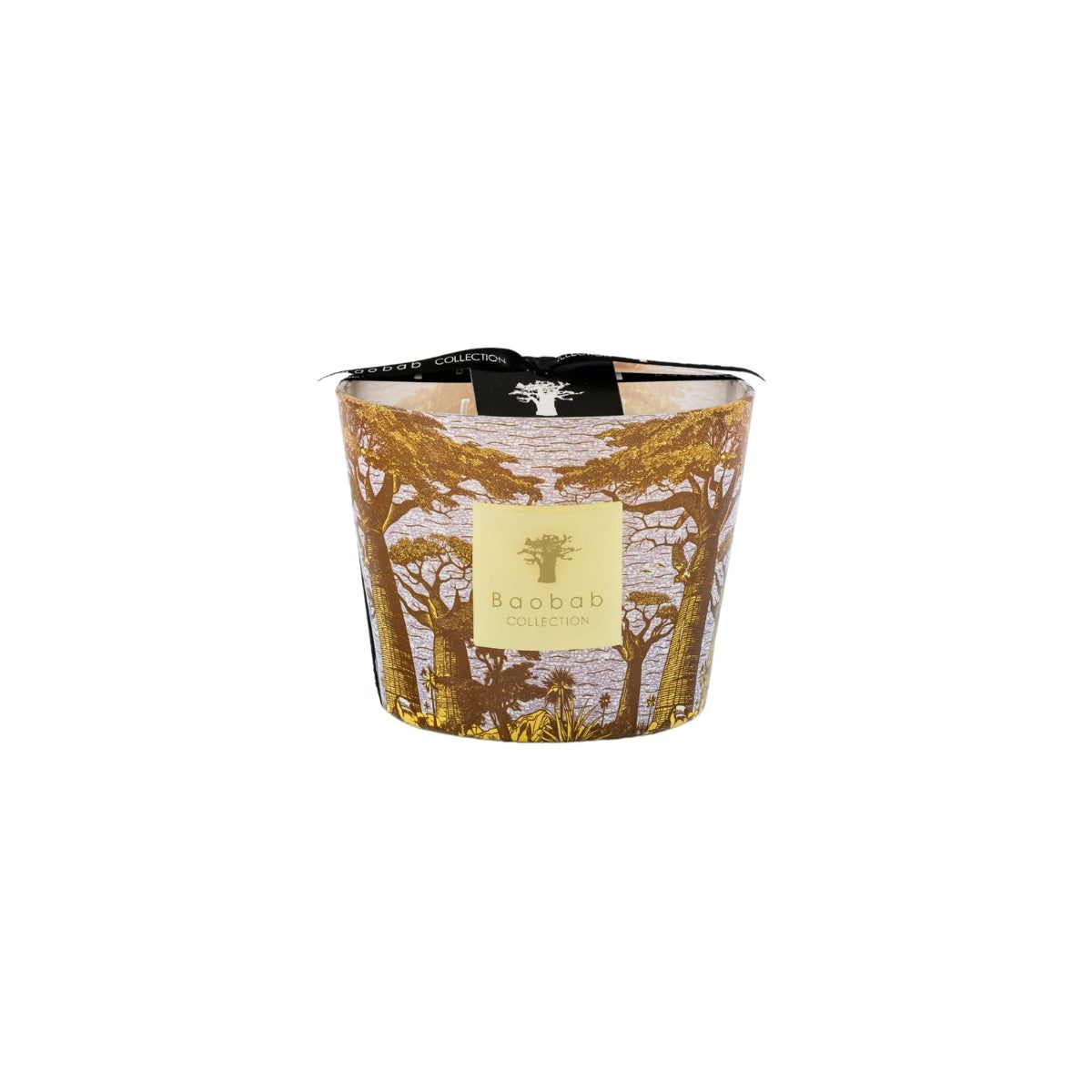 Buy Baobab Collection Max 10 Sacred Tree Cocody Candle