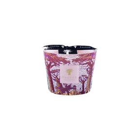 Baobab Collection Max 10 Sacred Tree Massasso Candle