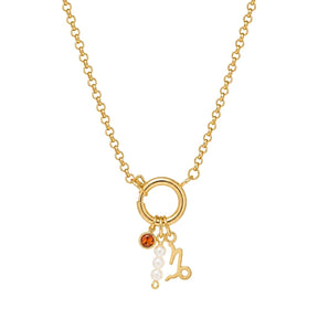 Capricorn Zodiac Garnet Birthstone Charm Necklace