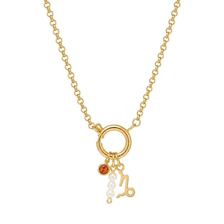 Capricorn Zodiac Garnet Birthstone Charm Necklace