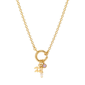 Aquarius Zodiac Amethyst Birthstone Charm Necklace
