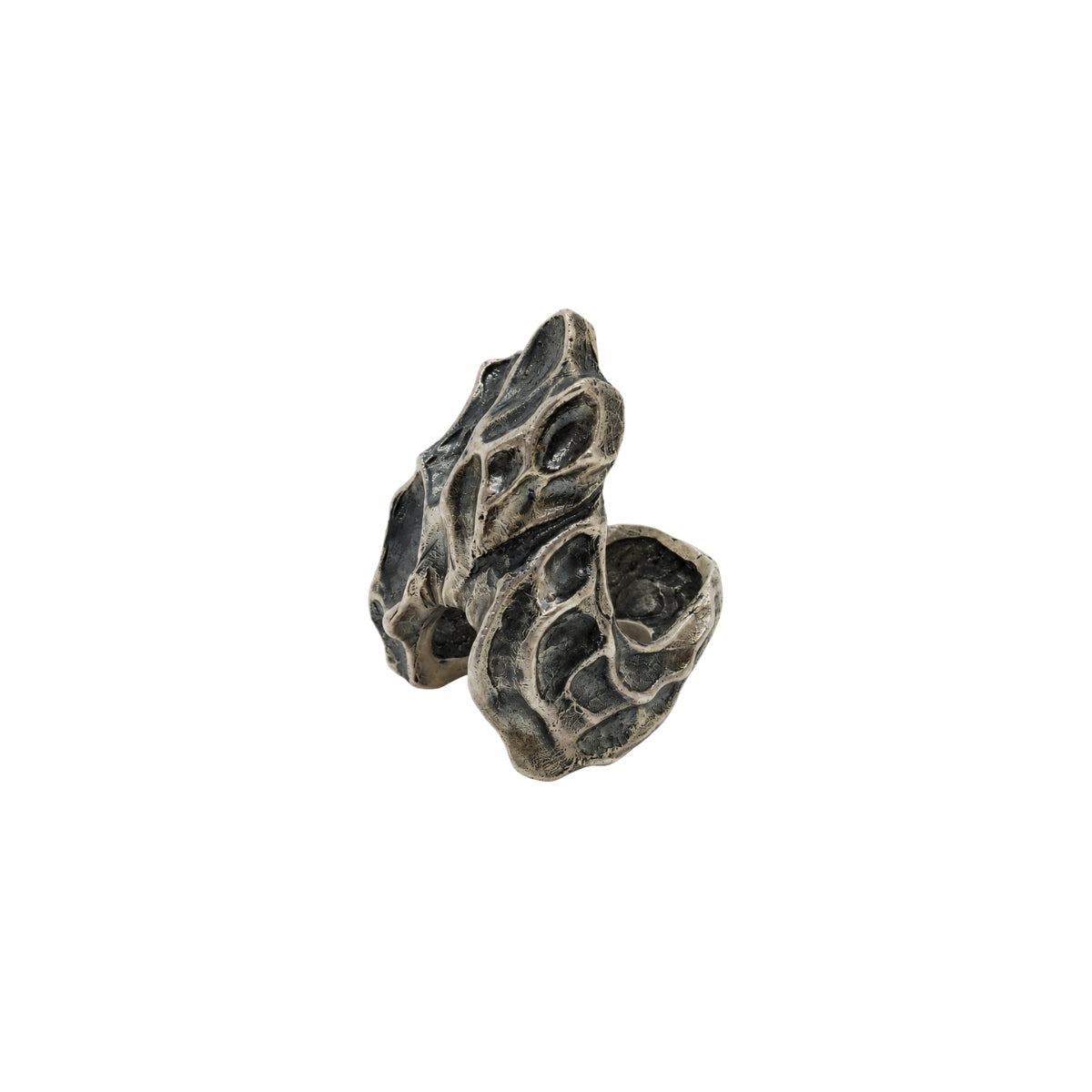 Textura De Arbol Rings