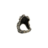 Textura De Arbol Rings