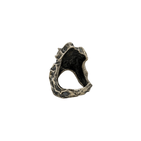 Textura De Arbol Rings