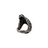 Textura De Arbol Rings