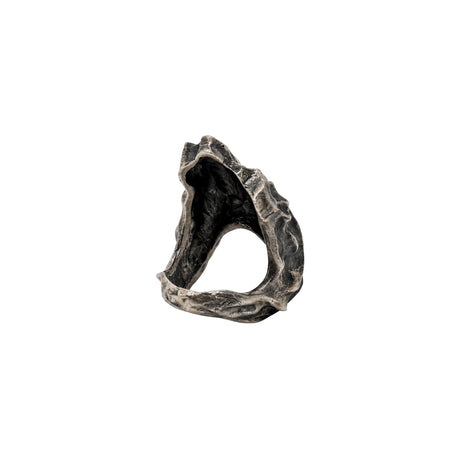 Textura De Arbol Rings