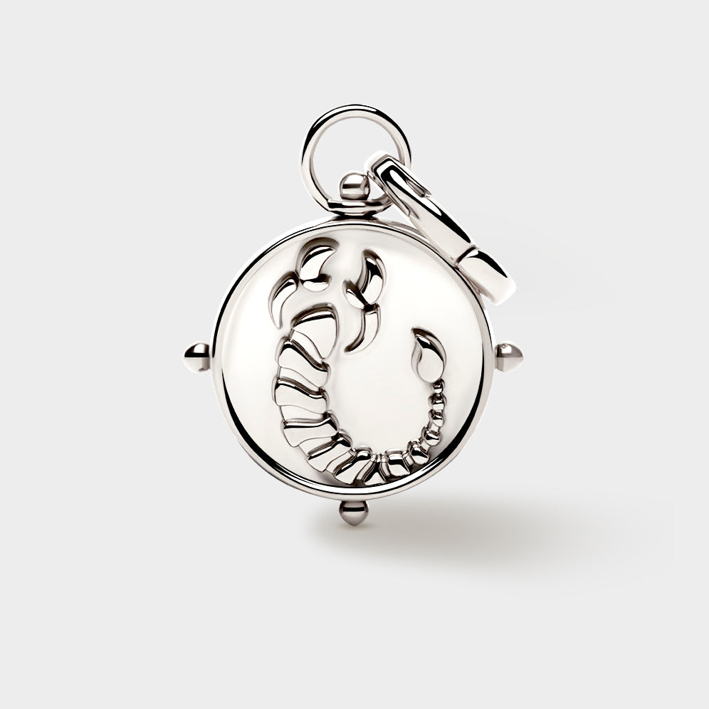 Silver Double-Sided Zodiac Charm
